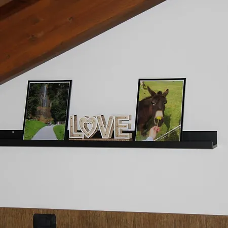 ベッド・アンド・ブレックファスト Fiesta